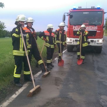 Einsatzbericht: Hochwasser in Tann