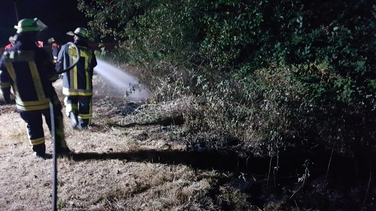 Einsatzbericht: Heckenbrand