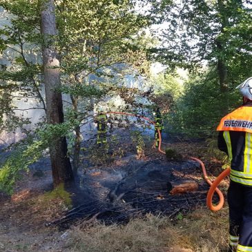 Einsatzbericht: Waldbrand Altschwambach