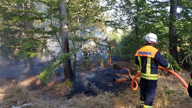 Einsatzbericht: Waldbrand Altschwambach