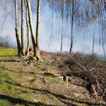 Einsatzbericht: Waldbrand in Schwarzenborn