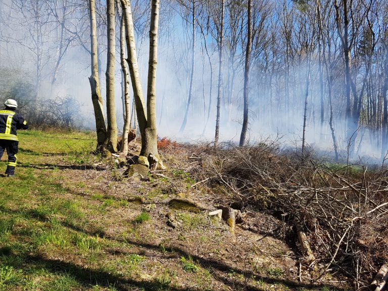 Einsatzbericht: Waldbrand in Schwarzenborn