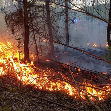 Einsatzbericht: Gestrüppbrand in Oberrückersbach