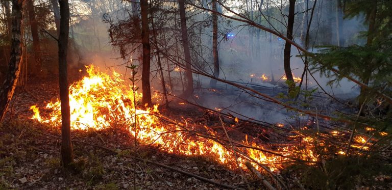 Einsatzbericht: Gestrüppbrand in Oberrückersbach