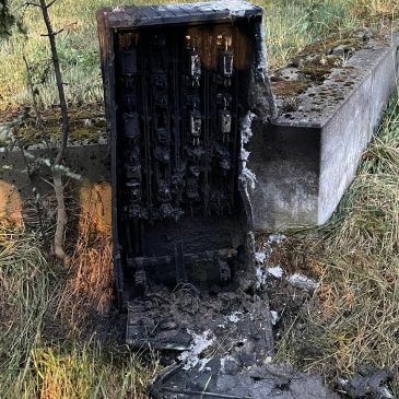 Einsatzbericht: Brand eines freistehenden Stromkastens